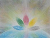 Im Blütenlicht der fünf Elemente